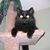 Joe Nadia Karamichevi's profile image