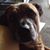 Princess D Hammons's profile image