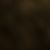 Sylvia Will's profile image