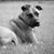 Keith Richard Annear's profile image