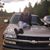 Elaine Rose Fitzmorris's profile image