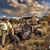 Mary Ann Tipton's profile image