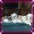 Sher Stucky's profile image
