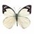 Denise Brown's profile image