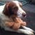Stephanie Serres's profile image