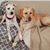 Carol B R Foell's profile image