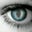 Kirsi Bertolini's profile image
