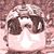 Allen Shawn Jones's profile image