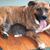 Debbie Foskey's profile image