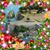 Andre Hason's profile image