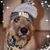 Heather Welsh Capo's profile image