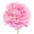 Theresa Baideme's profile image