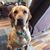 Christy Lee Sullivan's profile image