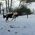 Wanda Eilene Bourgeois's profile image