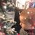 Dianna Hageman's profile image