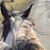 Susie Webb's profile image