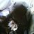 Pete Matsis's profile image