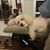 Susan DuVal Frazier's profile image