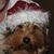 Gregory Ladwig's profile image