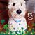 Nanci McKeel Russell's profile image