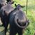 Mark Hall's profile image