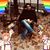 Ben Lopez's profile image