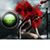 Loren Greene's profile image
