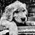 Carlena Hanson's profile image