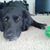 Judy Fraley's profile image
