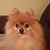 Debi Southward's profile image