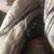 Dave Laury's profile image