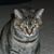 Laura Keigley's profile image