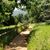 Aruna Singh's profile image
