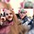 Sara Lortie's profile image