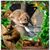 Sj Howard's profile image