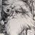 DougYarris's profile image