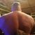 Wayne Meyer's profile image