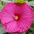 Myriam Tashey's profile image