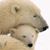 Barbara Ann McGough's profile image