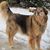 Connie Lamastro's profile image