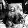 Megan S.'s profile image