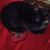 Stephen Noble's profile image