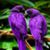 Lori Boumil's profile image