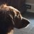 Michael Kord's profile image