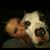 Erika Guthinger's profile image