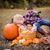 Tina Clark's profile image