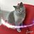 Daniel Brigitte Guyon's profile image