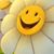 Janice Holiday's profile image