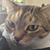 Gwen Pelak's profile image