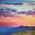 Susan Mclendon's profile image